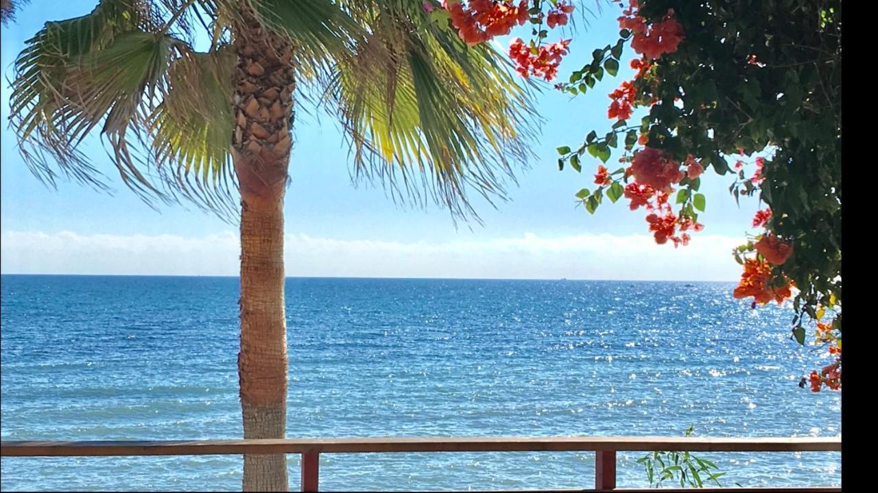 Mijas Costa - Beachside Apartment-B Sitio de Calahonda Kültér fotó
